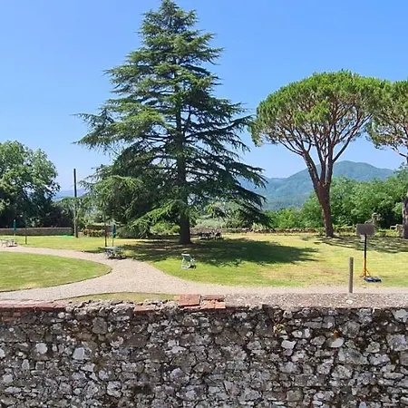 Sardini Lucca